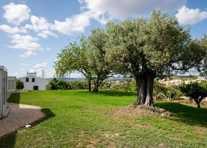 Cerca Velha - Holiday home *