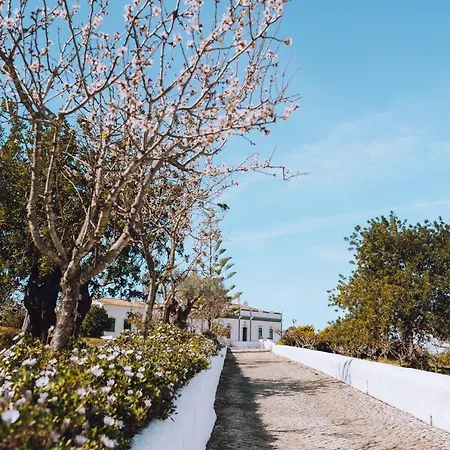 Semesterbostad Cerca Velha - *