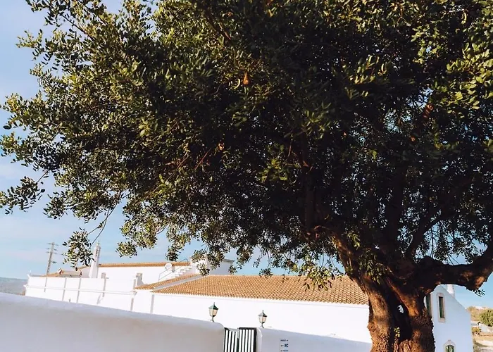 Cerca Velha - Ferienhaus